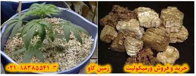 vermiculite trading